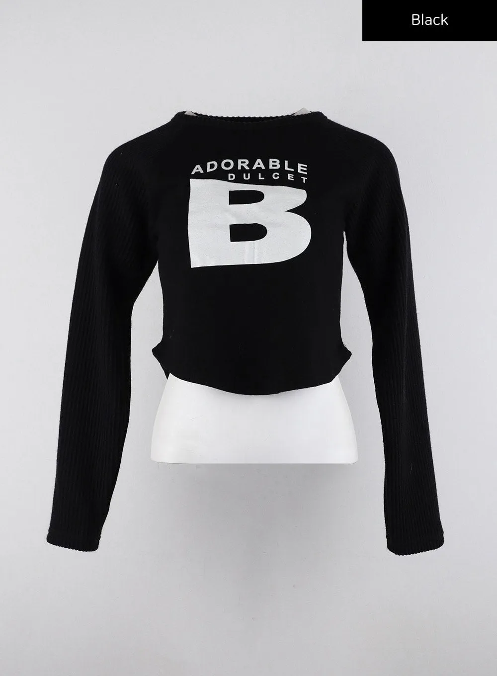 Graphic Lettering Long Sleeve Crop Top CD320