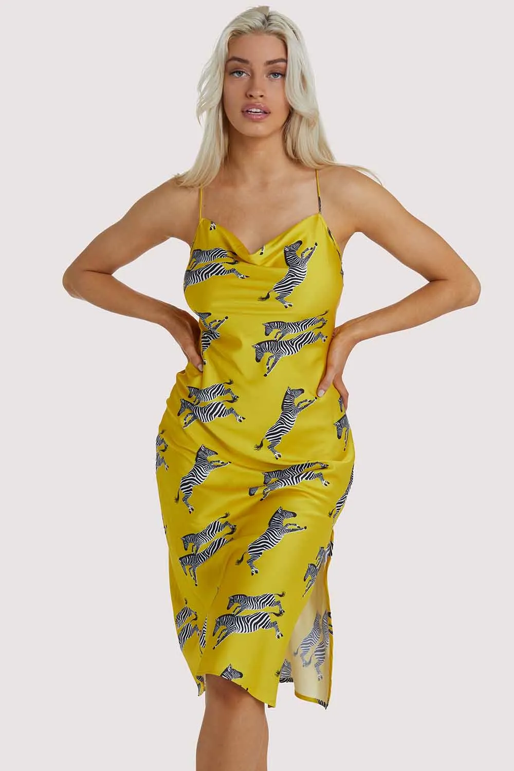 Mustard Zebra Dress