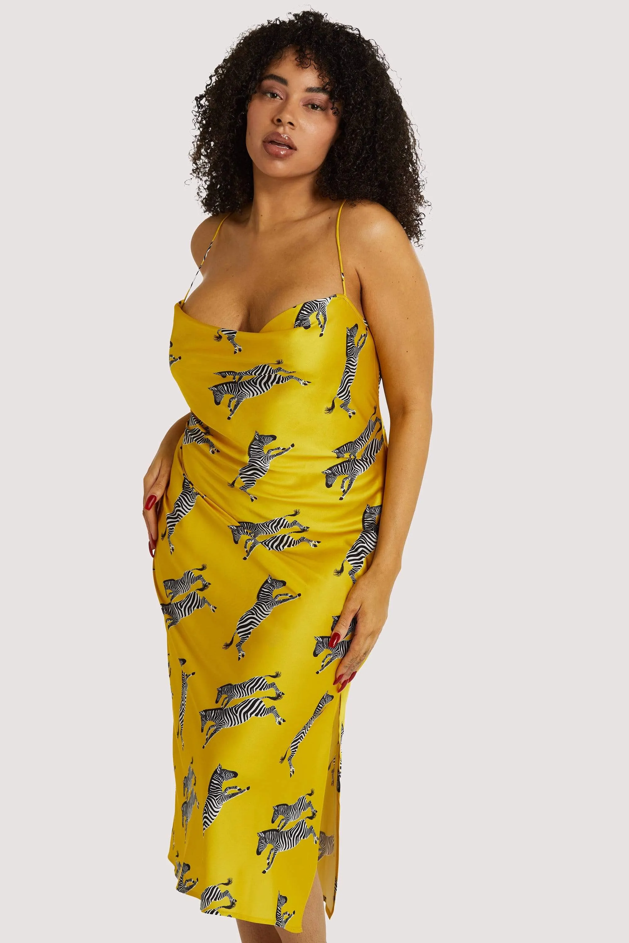 Mustard Zebra Dress